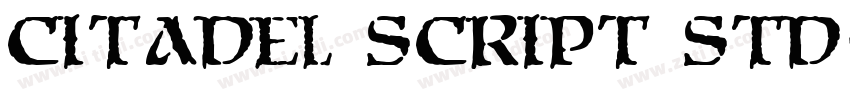 Citadel Script Std字体转换